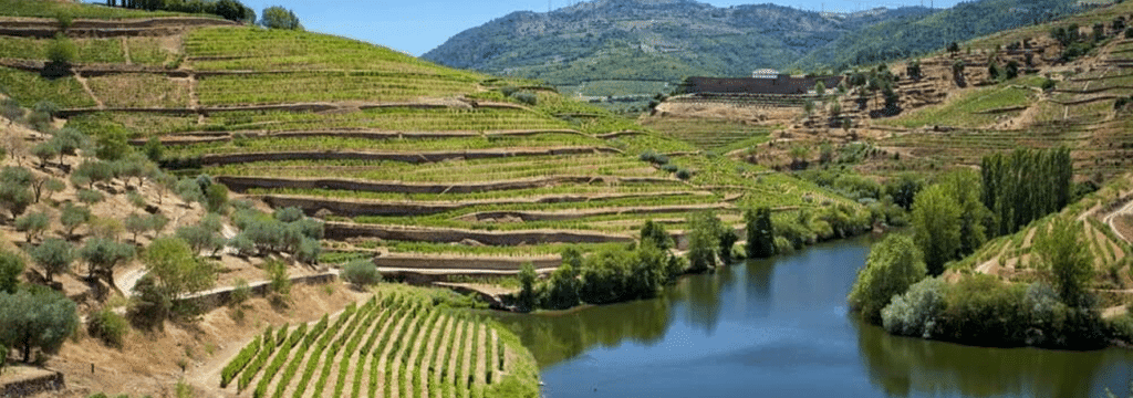 douro-river