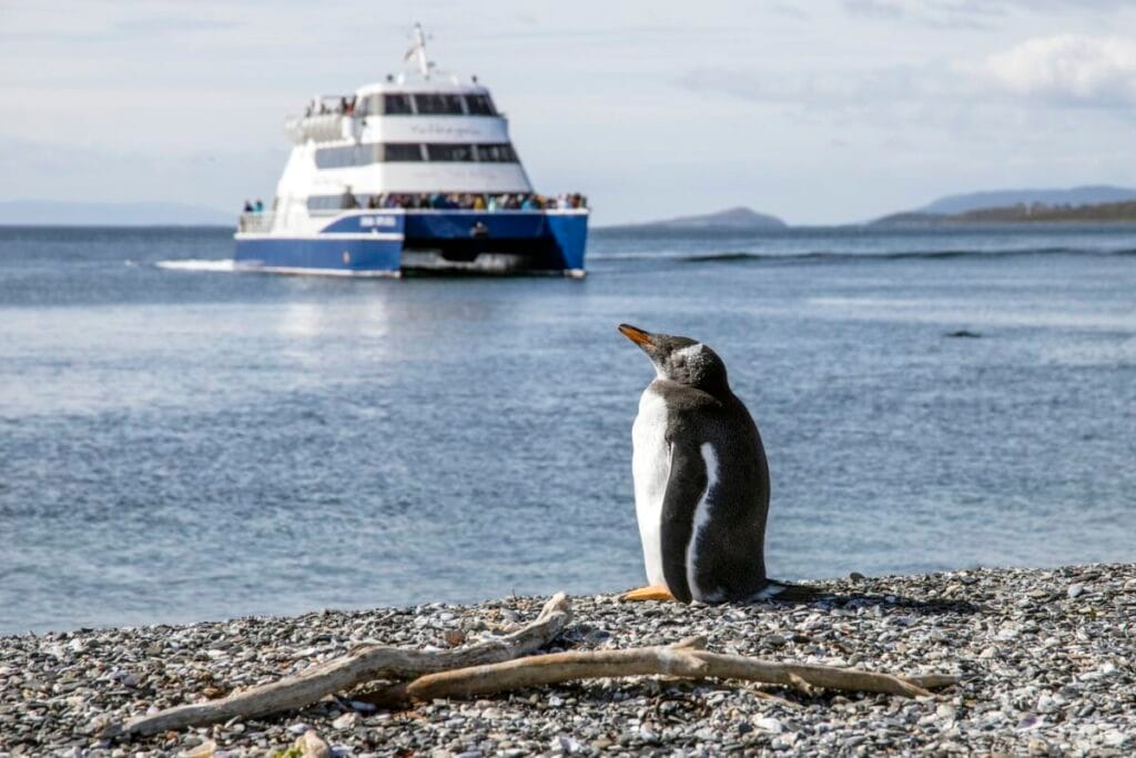 South Shetland Isles & Antarctic Peninsula