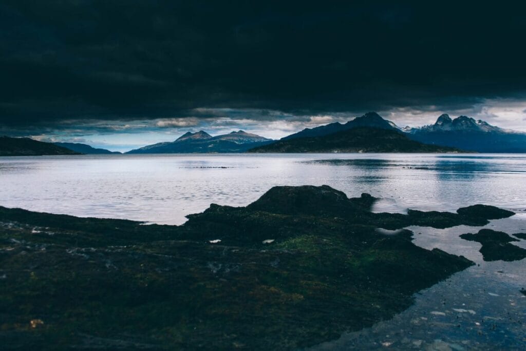 Spirit of Antarctica: Whale Migration