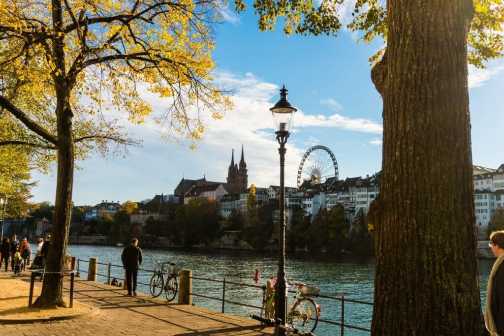 Classical Rhine Cruise