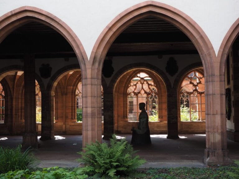 Castles along the Rhine