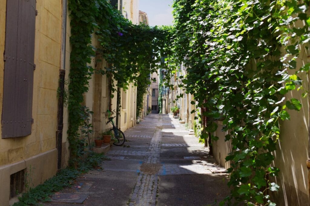 Burgundy & Provence