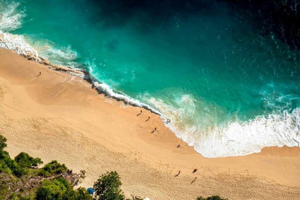 Komodo & the Australian Coast