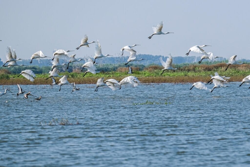 From the Black Sea to the Blue Danube (port-to-port cruise)