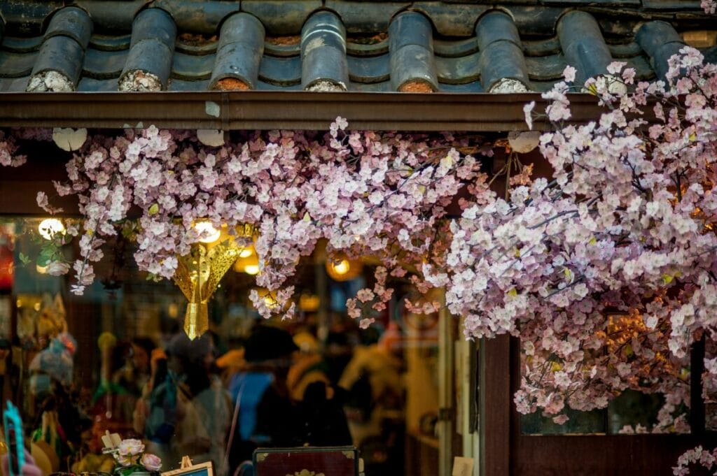 Impressions of South Korea