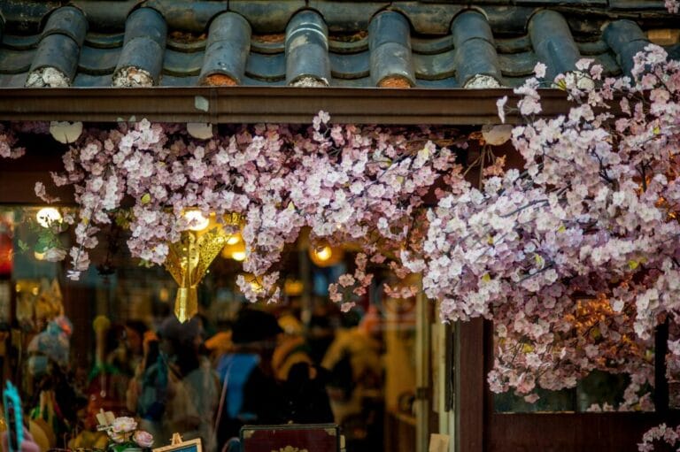 Impressions of South Korea 